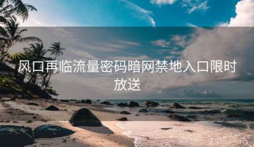 风口再临流量密码暗网禁地入口限时放送