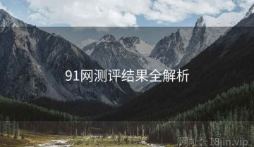 91网测评结果全解析
