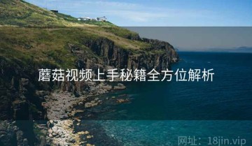 蘑菇视频上手秘籍全方位解析