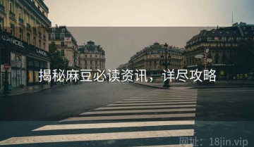 揭秘麻豆必读资讯，详尽攻略