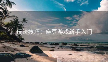 玩法技巧：麻豆游戏新手入门