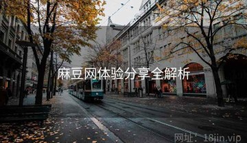 麻豆网体验分享全解析
