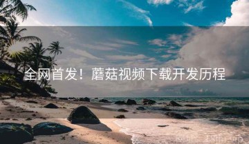 全网首发！蘑菇视频下载开发历程
