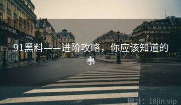 91黑料——进阶攻略，你应该知道的事