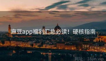 麻豆app福利汇总必读！硬核指南
