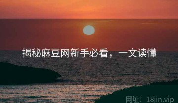 揭秘麻豆网新手必看，一文读懂