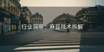 行业洞察：麻豆技术拆解