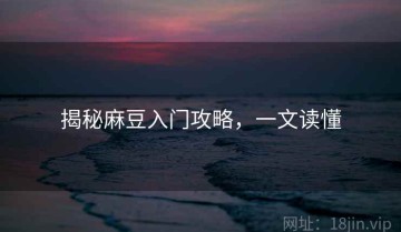 揭秘麻豆入门攻略，一文读懂