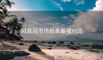 91官网市场前景最强对比