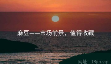 麻豆——市场前景，值得收藏