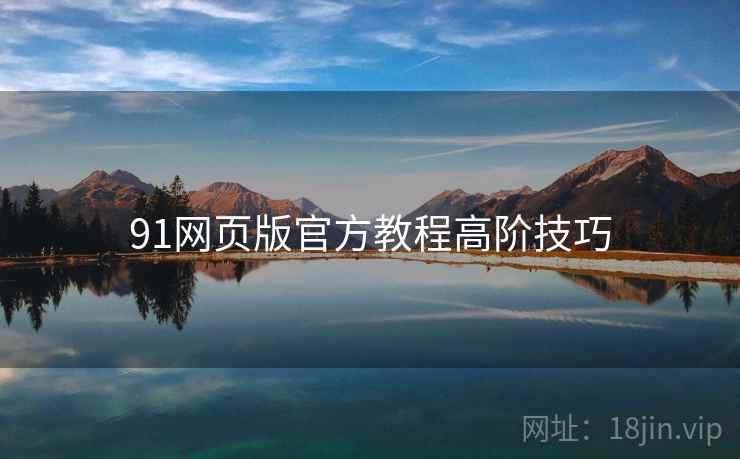91网页版官方教程高阶技巧