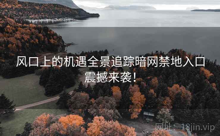 风口上的机遇全景追踪暗网禁地入口震撼来袭！