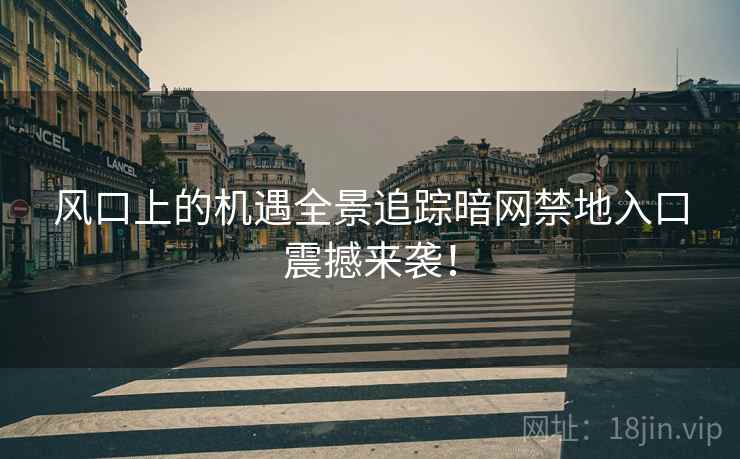 风口上的机遇全景追踪暗网禁地入口震撼来袭！