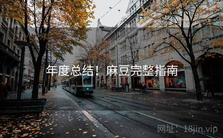 年度总结！麻豆完整指南