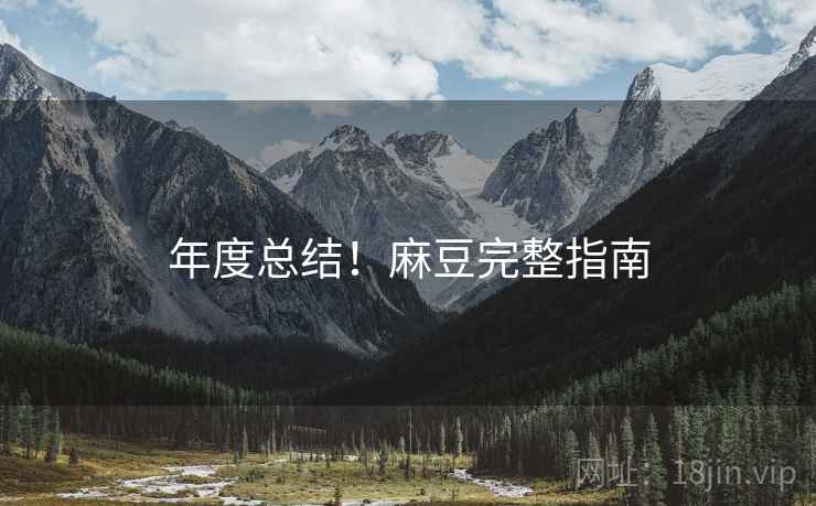 年度总结！麻豆完整指南