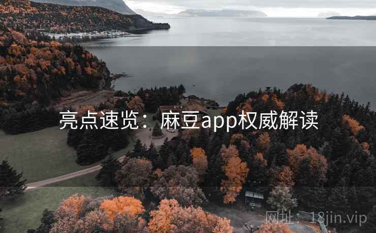 亮点速览：麻豆app权威解读
