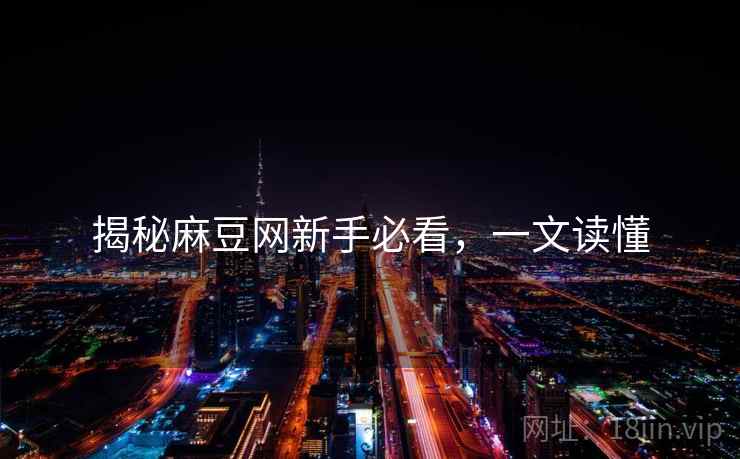 揭秘麻豆网新手必看，一文读懂
