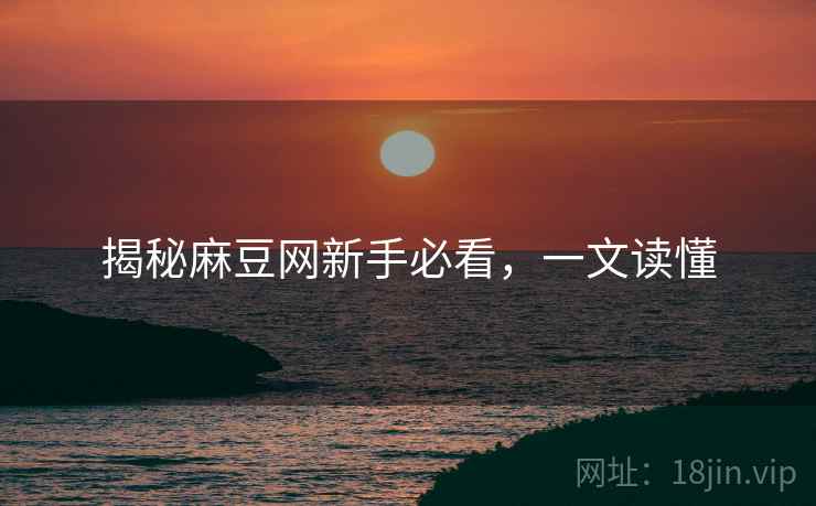 揭秘麻豆网新手必看，一文读懂