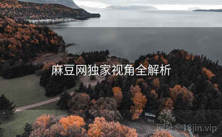 麻豆网独家视角全解析