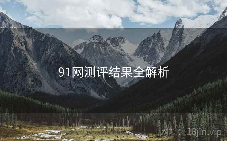 91网测评结果全解析