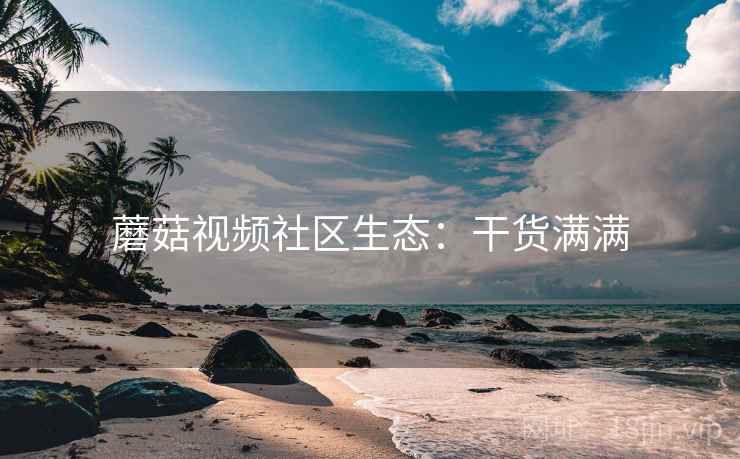 蘑菇视频社区生态：干货满满