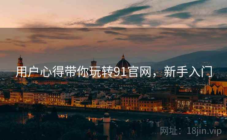用户心得带你玩转91官网，新手入门