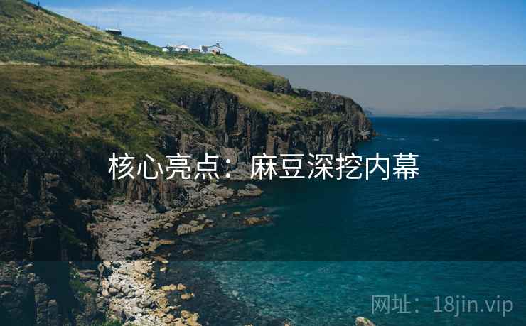 核心亮点：麻豆深挖内幕