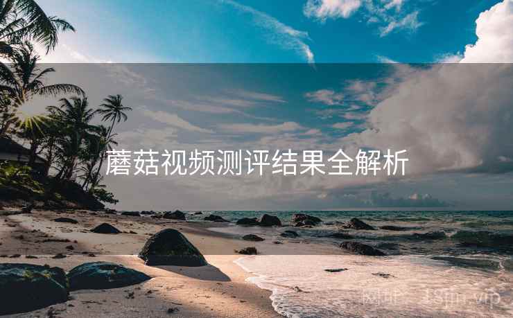 蘑菇视频测评结果全解析