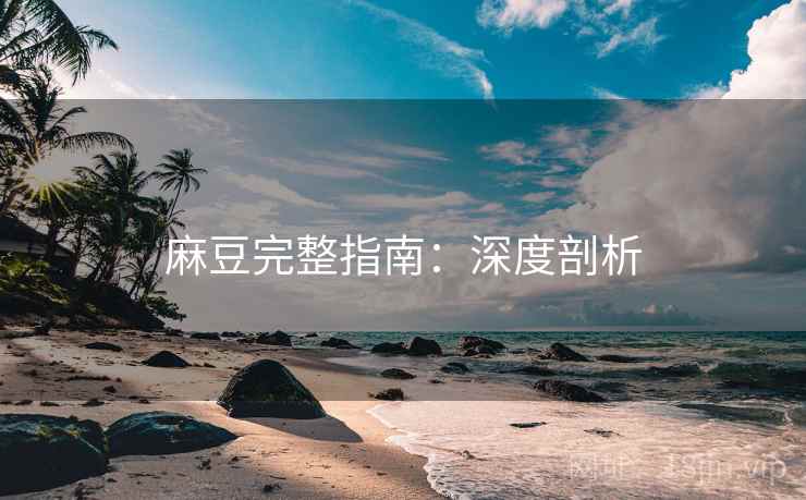 麻豆完整指南：深度剖析