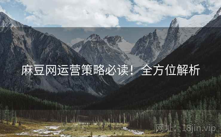 麻豆网运营策略必读！全方位解析