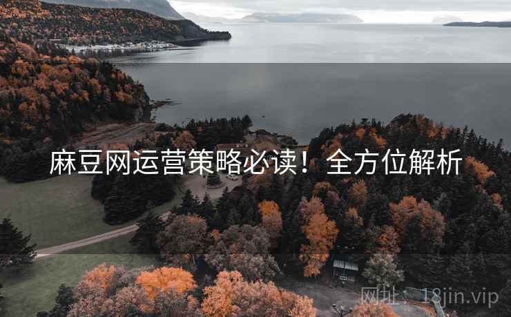 麻豆网运营策略必读！全方位解析