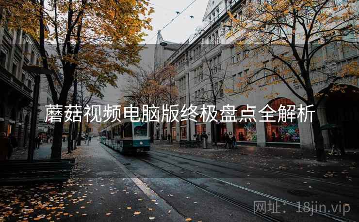 蘑菇视频电脑版终极盘点全解析