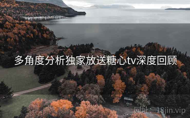 多角度分析独家放送糖心tv深度回顾